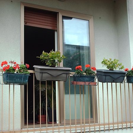Guest House Cuore Del Friuli Udine Exterior photo