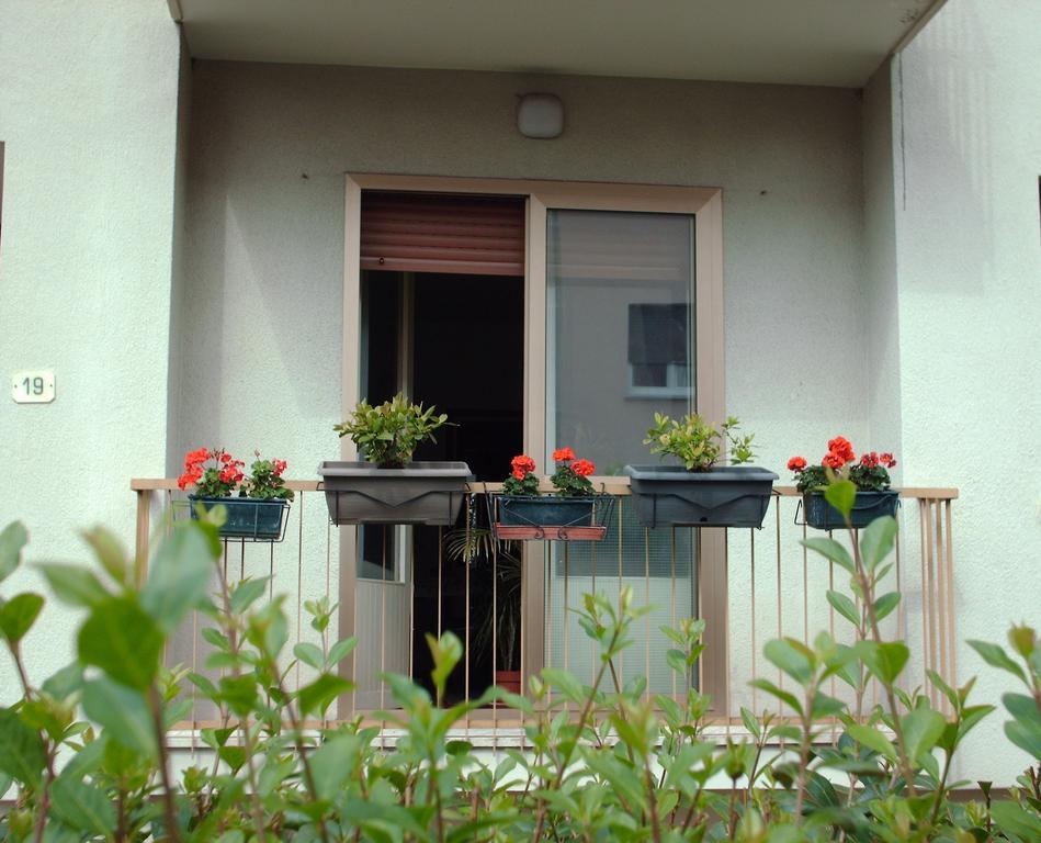 Guest House Cuore Del Friuli Udine Exterior photo